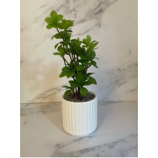 PLANTA ARTIFICAL CON MACETA 50 CM