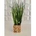 PLANTA ARTIFICAL 40 CM JUNCO CON MACETA GRASS