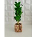 PLANTA ARTIFICAL 40 CM BAMBOO CON MACETA GRASS