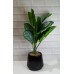 PLANTA ARTIFICIAL 40 CM CALATHEA CON MACETA DE CERAMICA