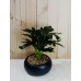 PLANTA ARTIFICIAL 24 CM CON MACETA CALADIUM