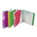 CARPETA CON FOLIOS A4 X 30