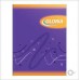 CUADERNO CUADRICULADO T/F X 48 H GLORIA/AMERICA