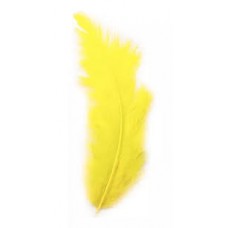 PLUMA GALLITO COLOR AMARILLO