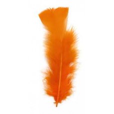 PLUMA GALLITO COLOR NARANJA