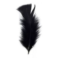 PLUMA GALLITO COLOR NEGRA