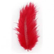 PLUMA GALLITO COLOR ROJO