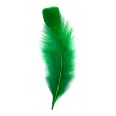 PLUMA GALLITO COLOR VERDE