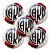 GLOBO DE PAPEL METALIZADO RIVER PLATE 45 CM