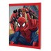 CUADERNO RAYADO T/F X 48 H SPIDERMAN