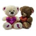 PELUCHE OSO MEDIANO CON CORAZON METAL 40 CM PHI PHI 5419