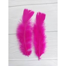 PLUMA GALLITO COLOR FUCSIA