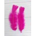 PLUMA GALLITO COLOR FUCSIA