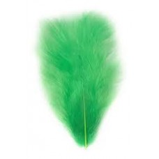 PLUMA GALLITO COLOR VERDE MANZANA