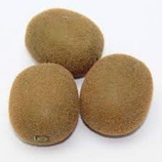 FRUTAS ARTIFICIALES KIWI CADA UNO