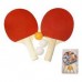 PALETAS DE PING PONG SIN RED